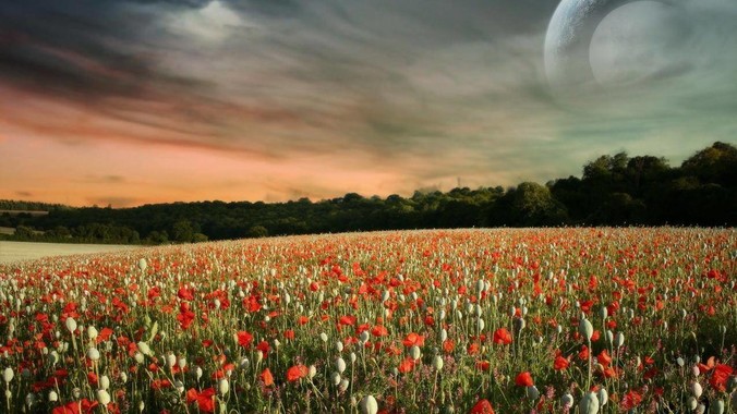 从零写一个3D物理引擎难度多大?